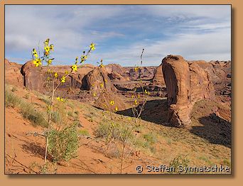 The Thumb - Coyote Gulch