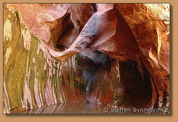 Hanging Arch - The Grotto - Escalante